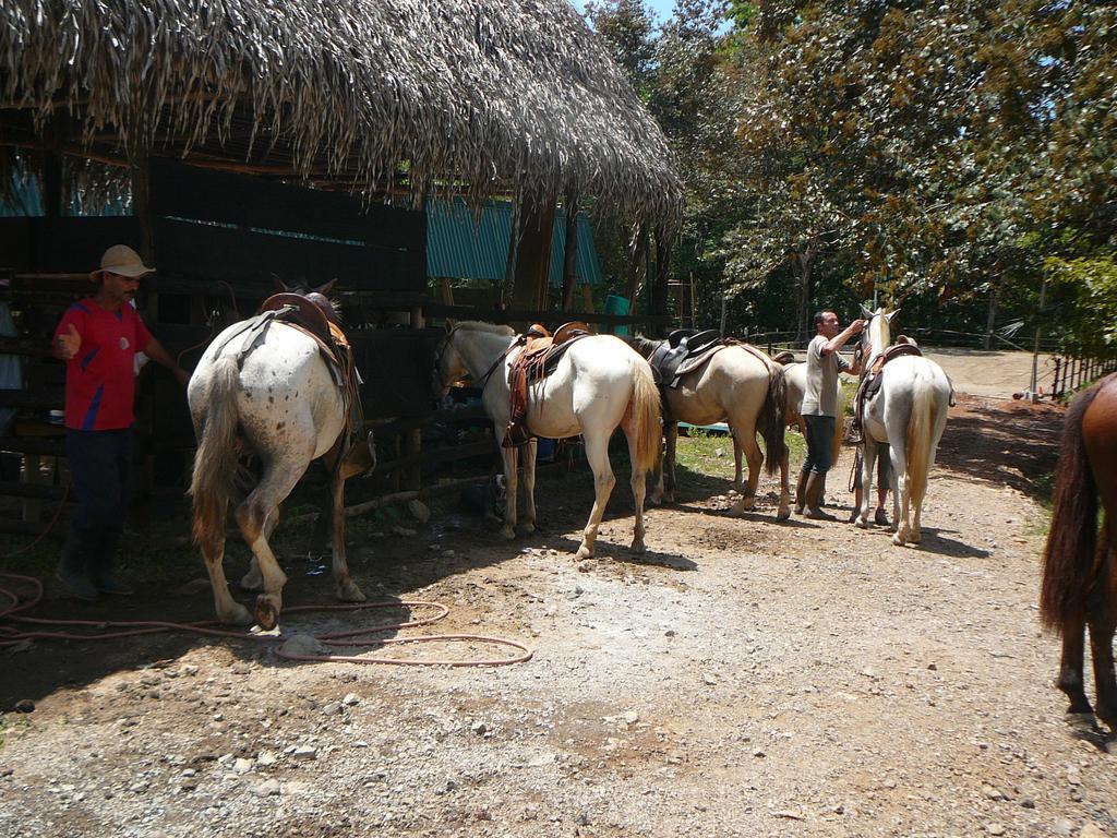 Casas Buenas Brisas Villa Ojochal Bilik gambar